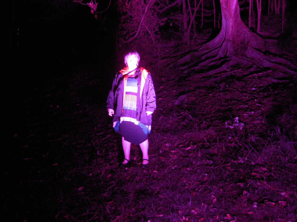 Rain at night lite with purple light