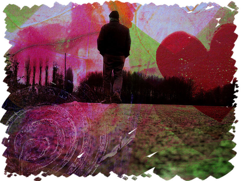 Shadows Shadows